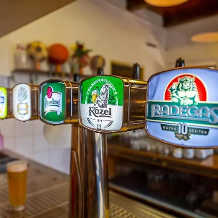 Chatovy Tabor بيت خشبي *